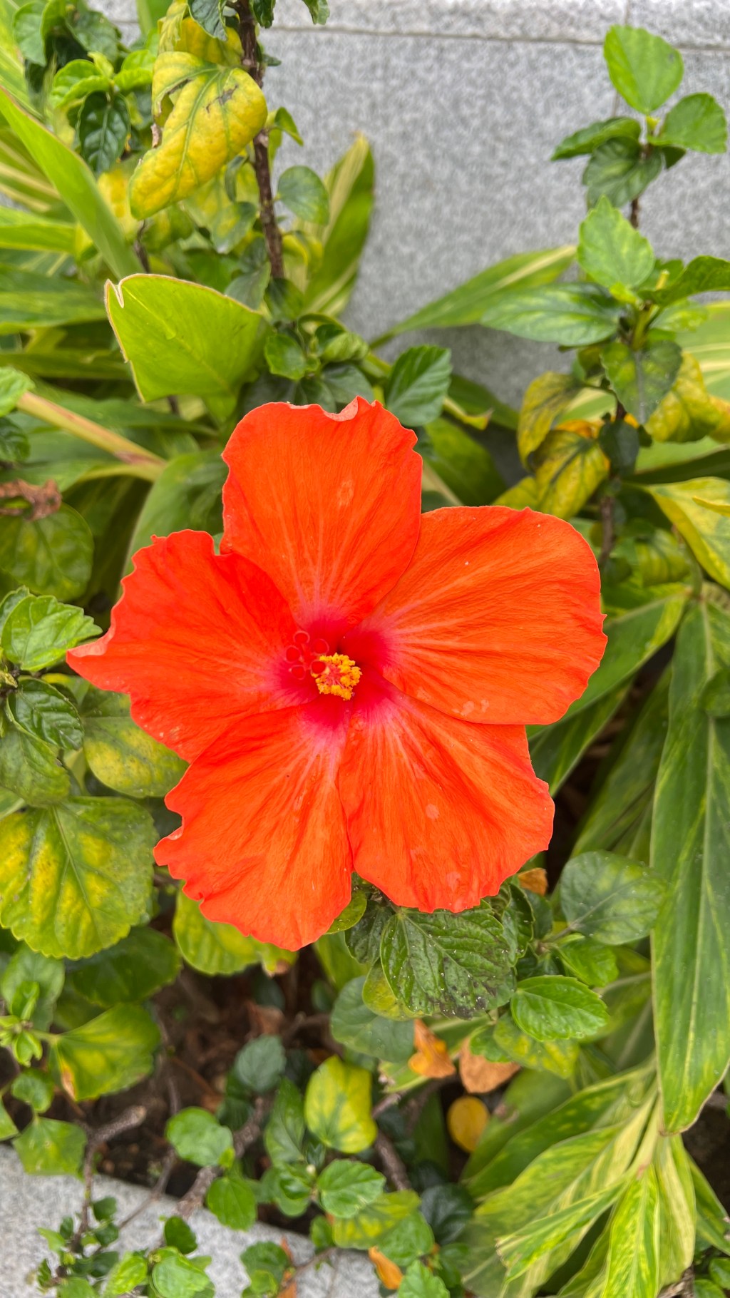 四个月获利83万！短炒成功